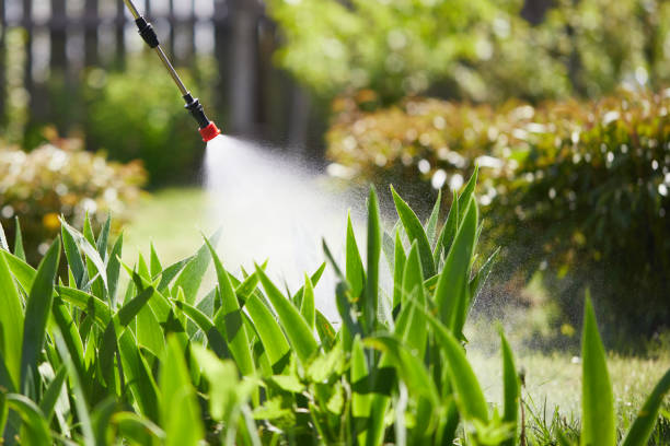 24/7 Emergency Wasp Removal experts in Old Jamestown, MO